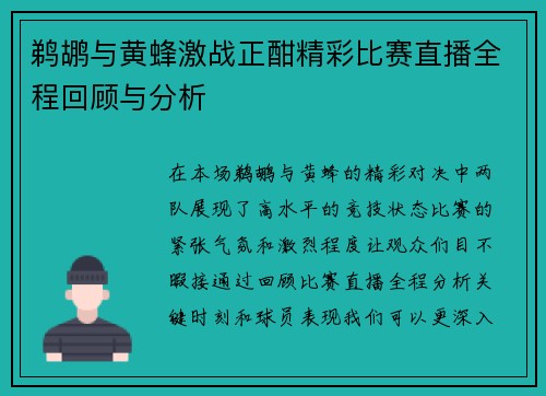 鹈鹕与黄蜂激战正酣精彩比赛直播全程回顾与分析